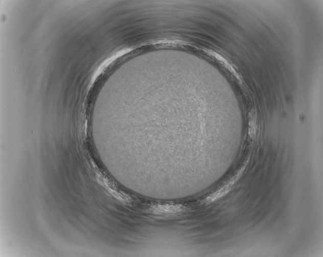 X0000085271117200704092133