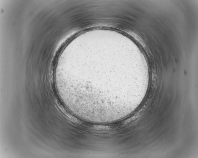 X0000085271119200704092133