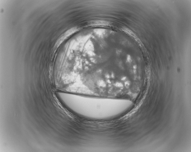 X0000085271121200704092133