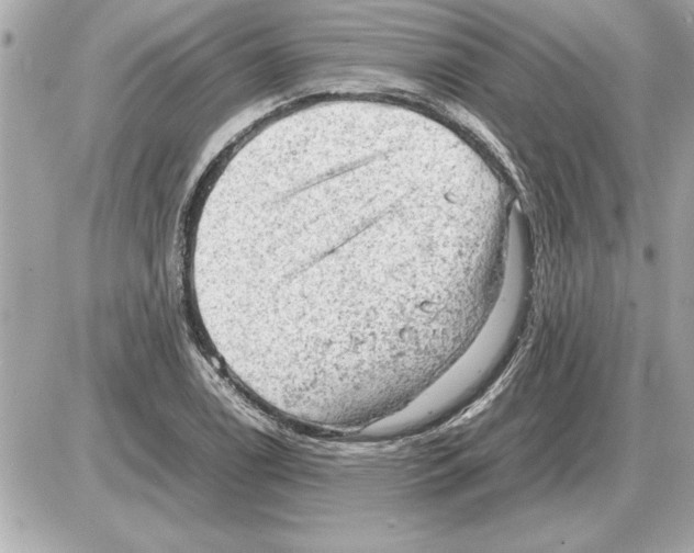 X0000085271122200704092133