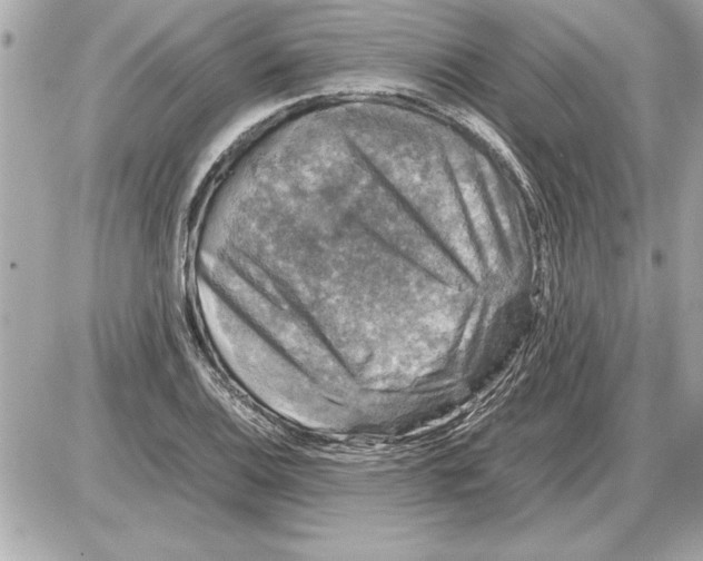 X0000085271124200704092133