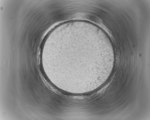 X0000085271126200704092133