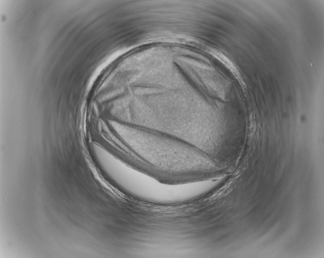 X0000085271128200704092133