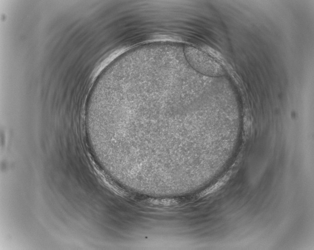 X0000085271129200704092133