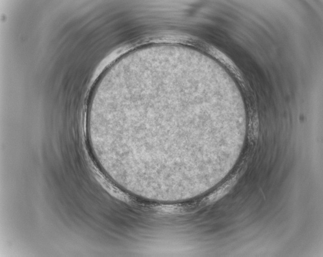 X0000085271130200704092133