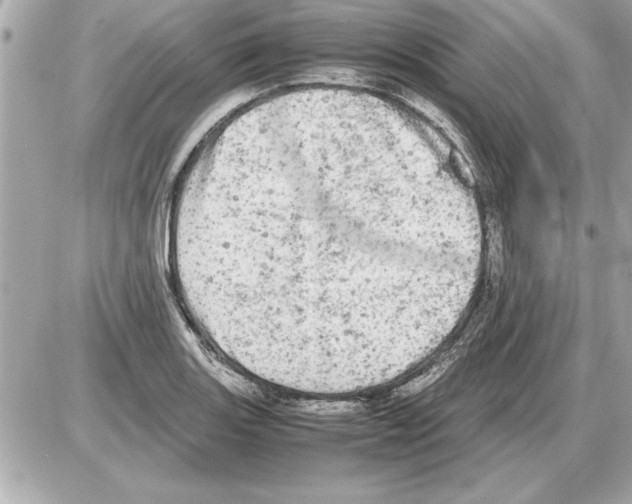 X0000085271131200704092133