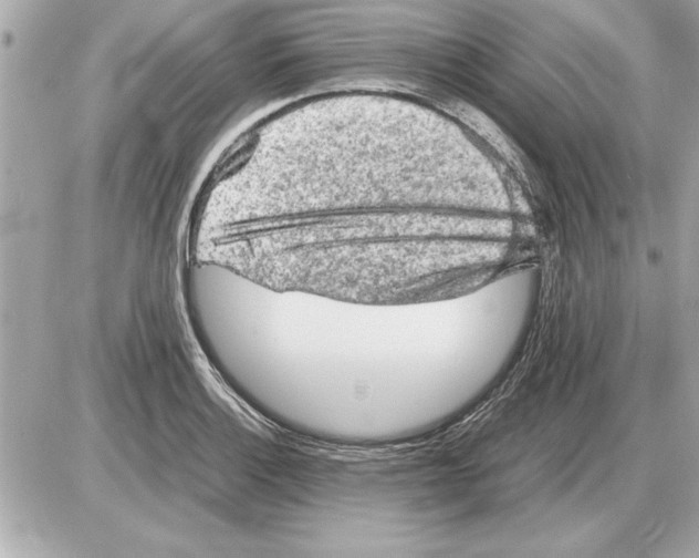 X0000085271132200704092133