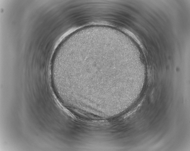 X0000085271133200704092133