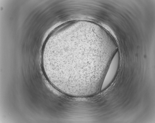 X0000085271136200704092133