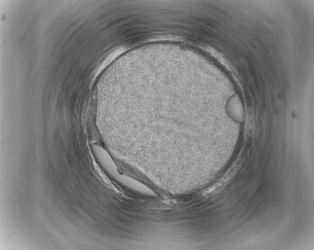 X0000085271137200704092133