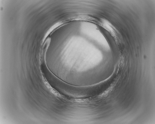 X0000085271138200704092133