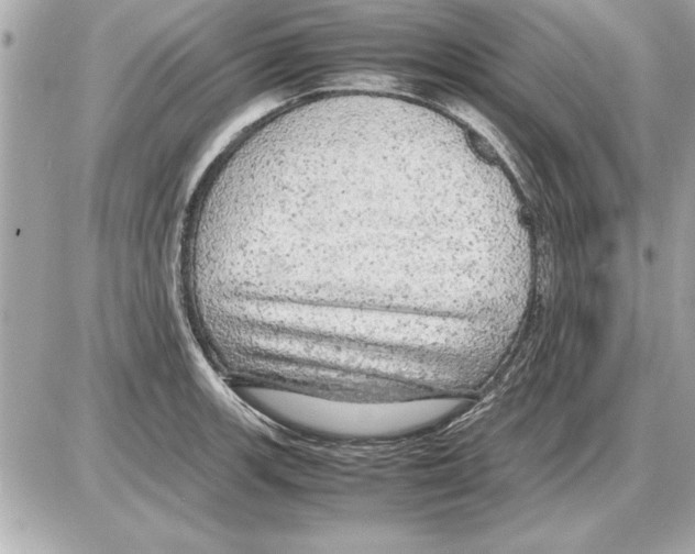 X0000085271139200704092133