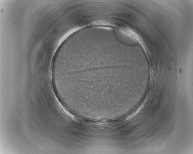 X0000085271141200704092133