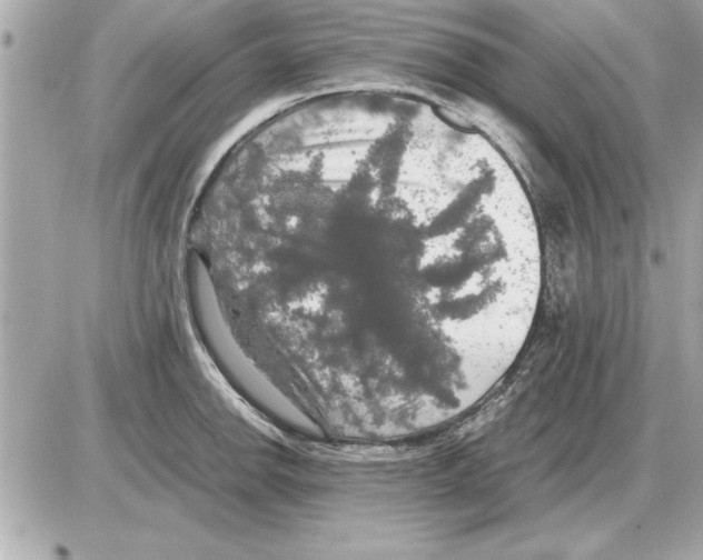 X0000085271142200704092133