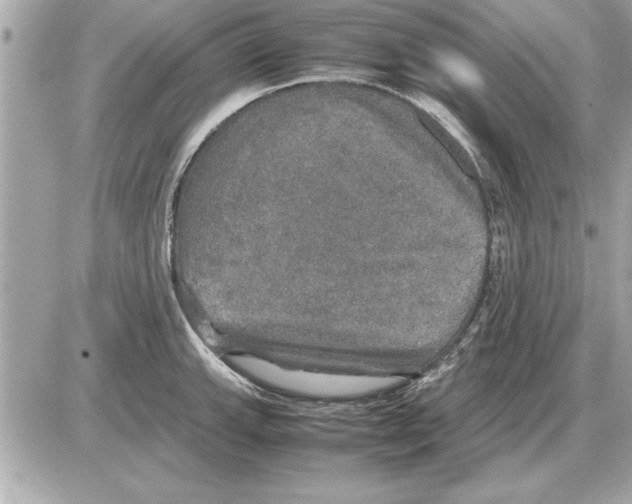 X0000085271143200704092133