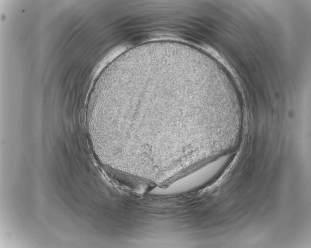 X0000085271145200704092133