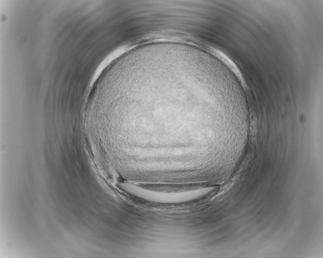 X0000085271146200704092133