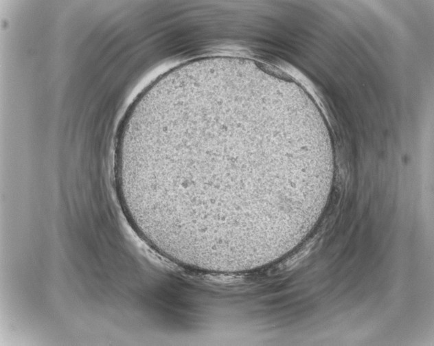 X0000085271147200704092133