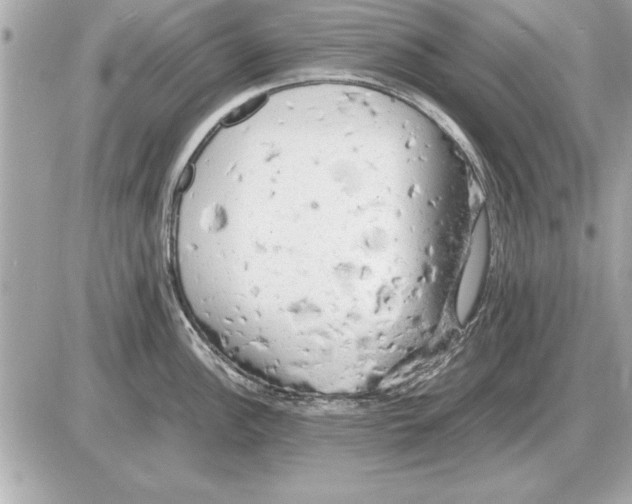 X0000085271148200704092133