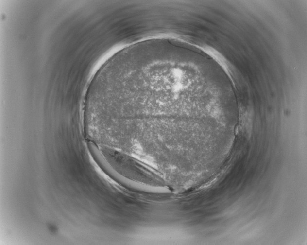 X0000085271151200704092133