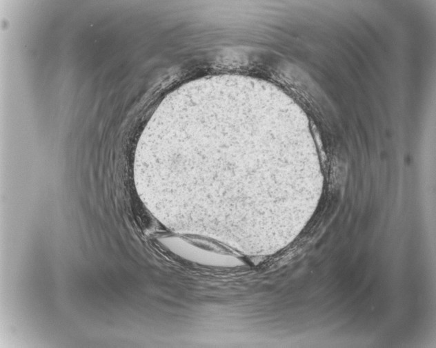 X0000085271153200704092133