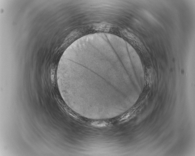 X0000085271154200704092133