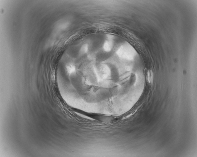 X0000085271155200704092133