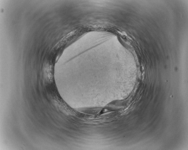 X0000085271156200704092133