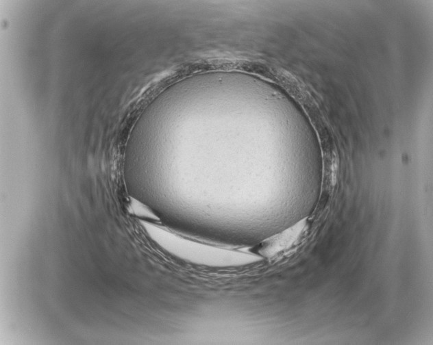 X0000085271157200704092133