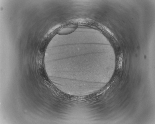 X0000085271158200704092133