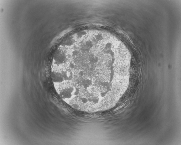 X0000085271159200704092133