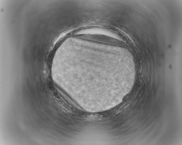 X0000085271160200704092132