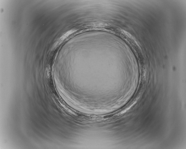 X0000085271161200704092132