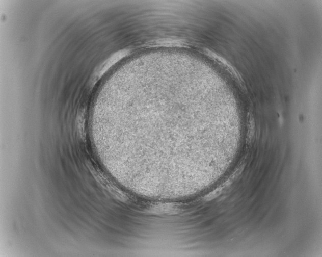 X0000085271162200704092132