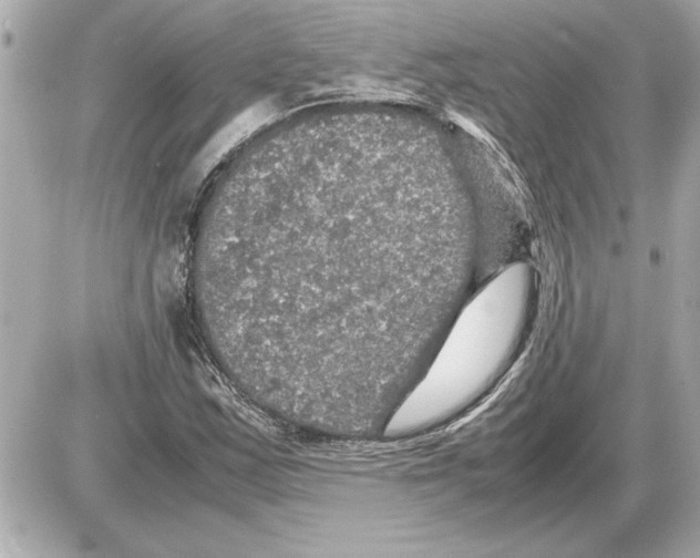 X0000085271163200704092132