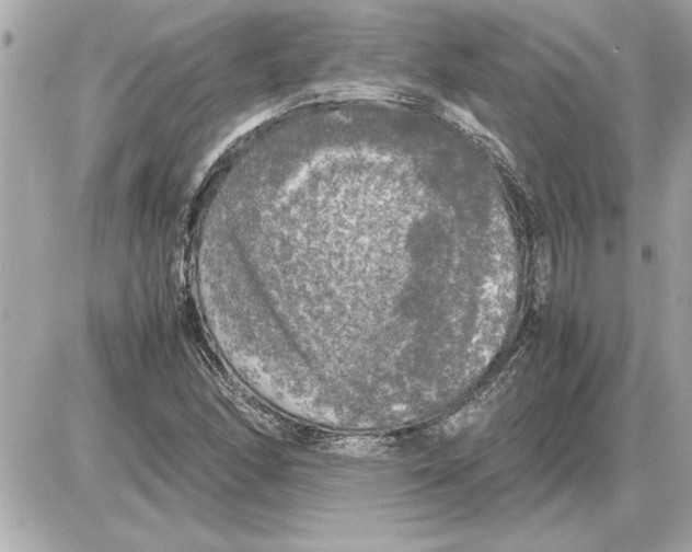 X0000085271166200704092132