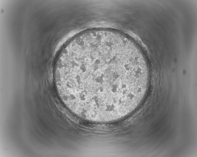 X0000085271167200704092132