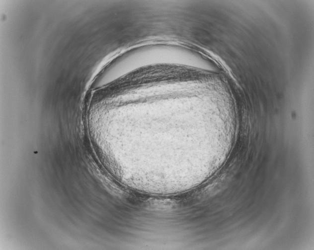 X0000085271168200704092132