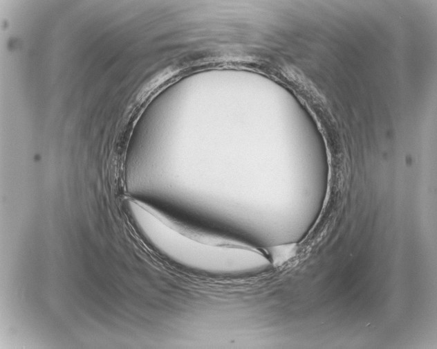 X0000085271169200704092132