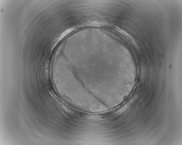 X0000085271170200704092132