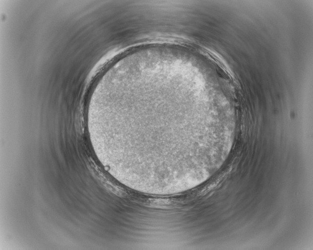 X0000085271172200704092132