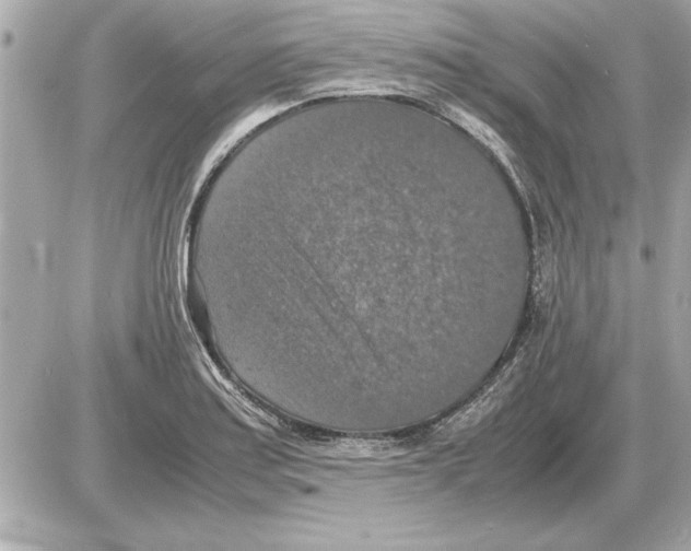 X0000085271179200704092132