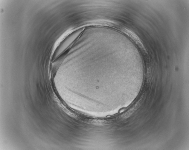 X0000085271180200704092132