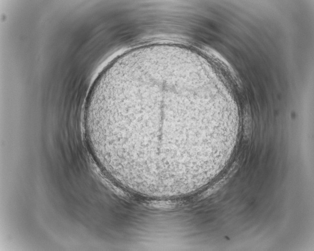 X0000085271182200704092132