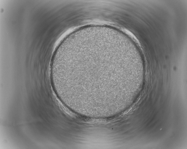 X0000085271183200704092132