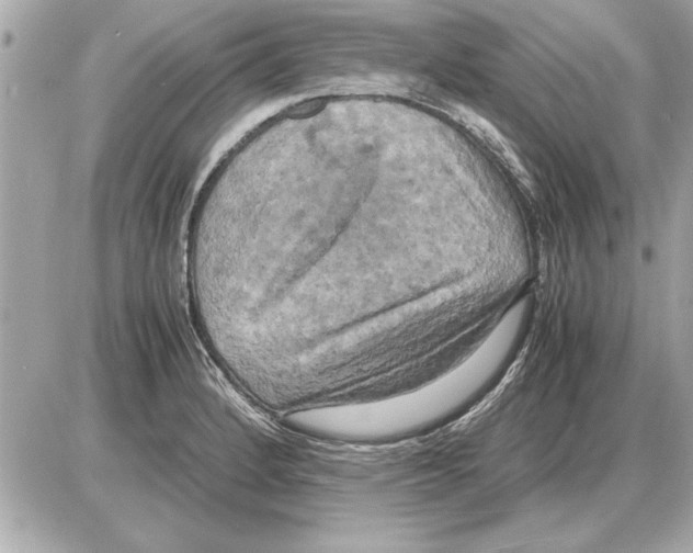 X0000085271184200704092132