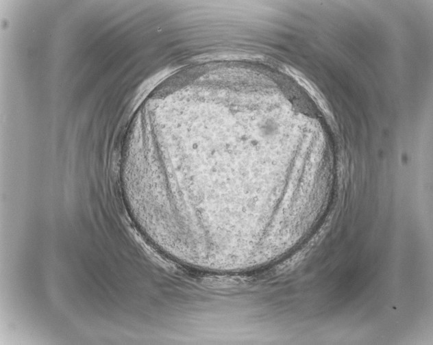 X0000085271185200704092132