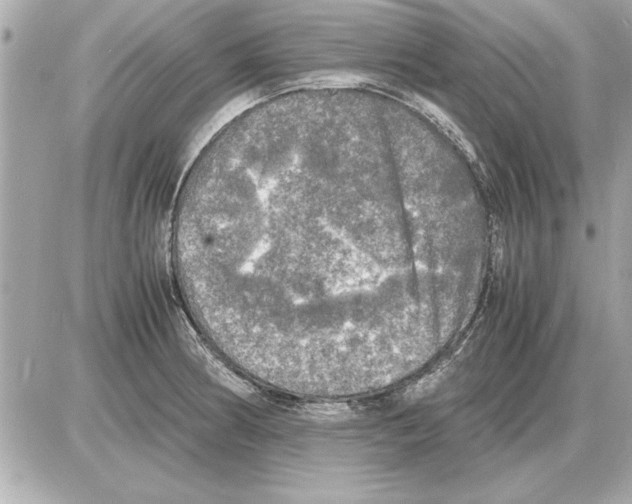 X0000085271186200704092132