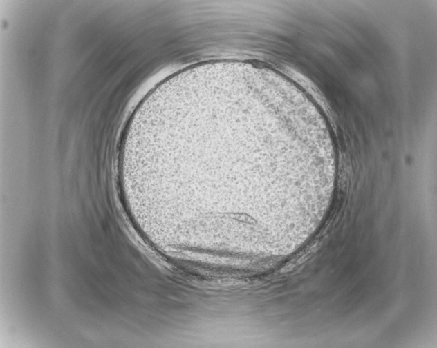 X0000085271187200704092132