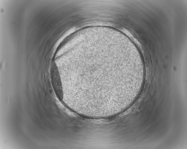 X0000085271189200704092132